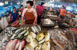 Эксперты ВОЗ посетили рынок в Ухане для выявления происхождения COVID-19