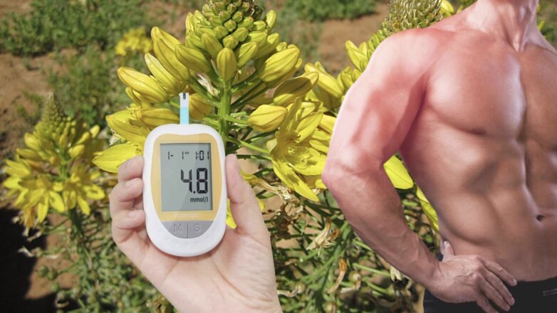 Найдено растение, которое снижает сахар в крови и повышает либидо