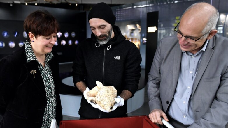 Найденная во Франции раковина оказалась древнейшим музыкальным инструментом