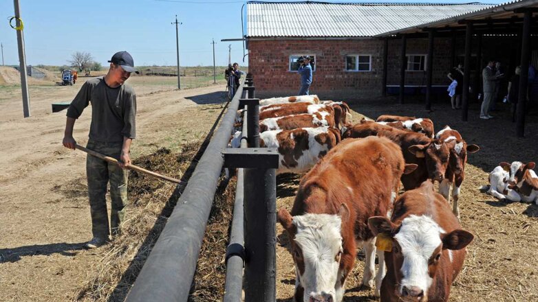 Не тянет к земле: почему на селе все меньше рабочих рук