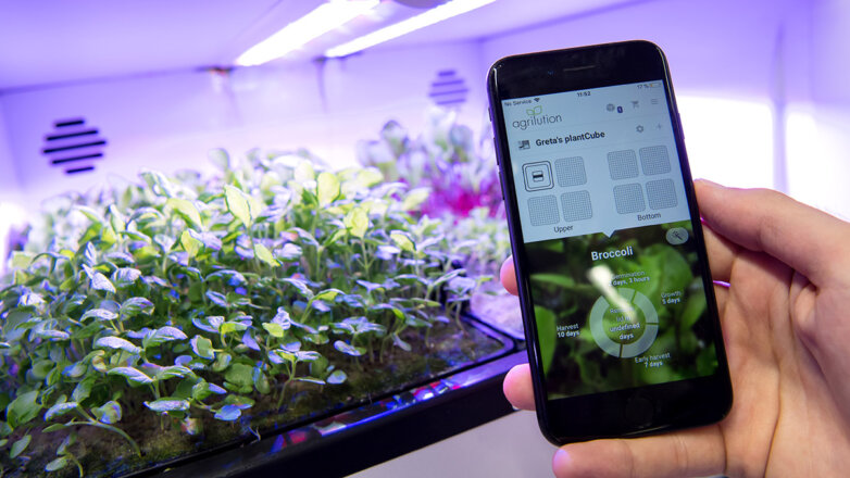 От сохи до пробирки: есть ли будущее у синтезированных продуктов