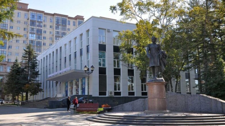 На Сахалине арестовали подозреваемого после гибели двух студентов от удара электричеством