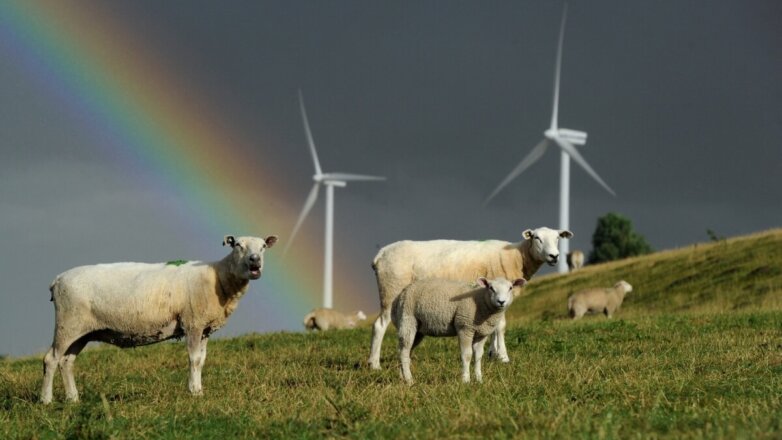 Почему Евросоюз никогда не откажется от "зеленой" энергетики