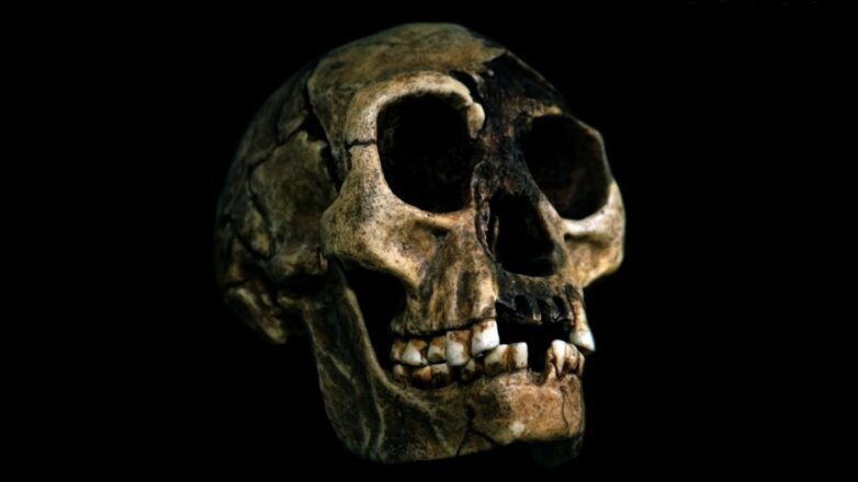 В ДНК жителей Юго-Восточной Азии нашли след "хоббитов"