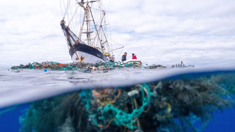Предчувствие большой чистки: удастся ли остановить пластиковое загрязнение планеты