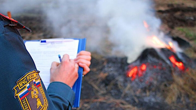 Жечь сухую траву ближе к дачам и частным домам могут разрешить в России