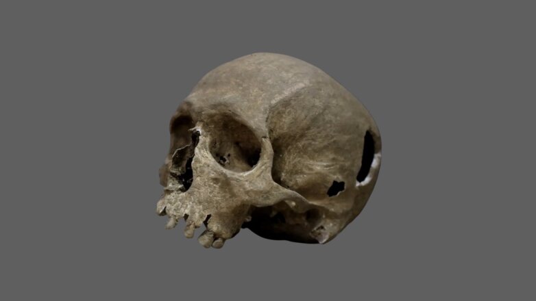 Ученые нашли древнейшую ДНК