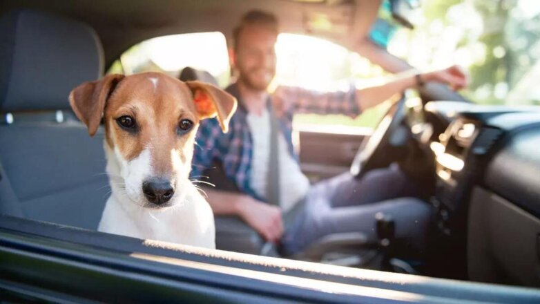 Штрафы по дороге на дачу: юрист рассказал, чего избегать автовладельцам