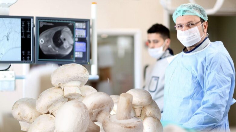 Употребление грибов снизит риск заболеть раком, считают ученые