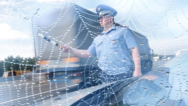 Систему "Паутина" для обжалования штрафов и розыска автомобилей запустили в России