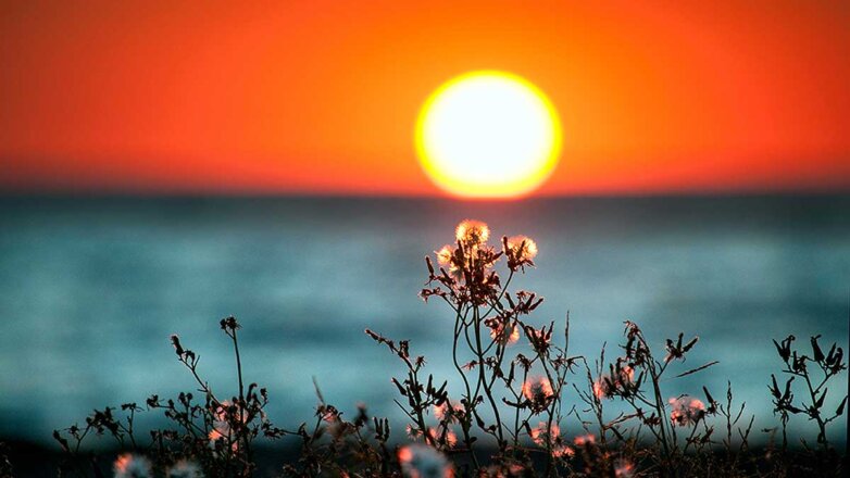 Когда наступит астрономическое лето, рассказали в Московском планетарии