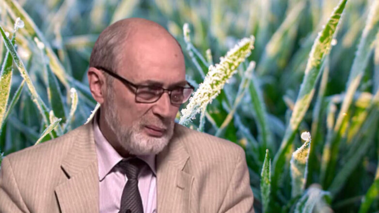 Штормовое предупреждение из-за заморозков объявили в 10 регионах РФ