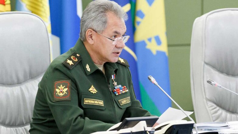 Шойгу заявил о создании новых военных соединений у западных границ