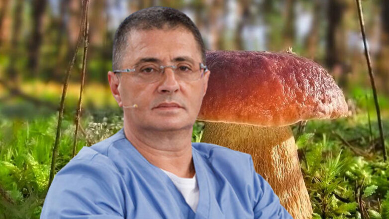 Об опасности собранных в лесу грибов рассказал Мясников