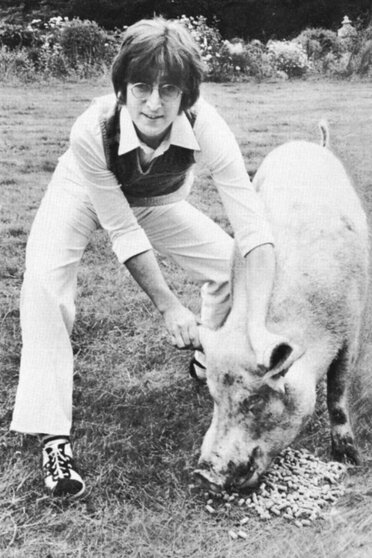 Джон Леннон сфотографировался, держа за уши свинью, пародируя обложку недавнего альбома Маккартни Ram