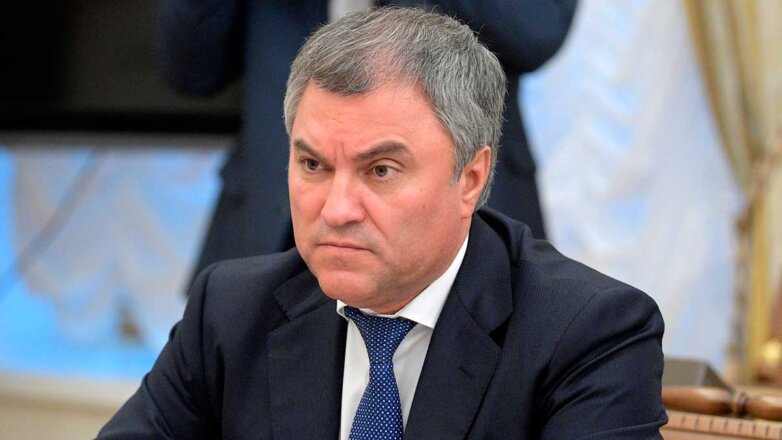 Володин поручил комитетам оценить целесообразность присутствия России в ВОЗ, ВТО и МВФ