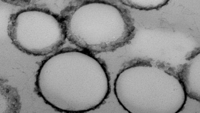 Рак в ранней стадии стало проще выявить благодаря уникальным наночастицам