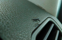 Своими руками: как дешево и быстро восстановить поврежденный пластик в салоне автомобиля