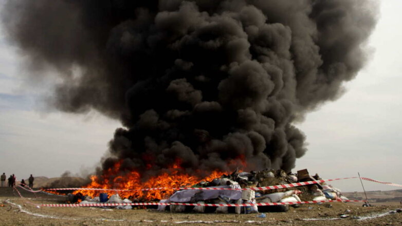 Талибы* заявили, что Афганистан прекратит производство наркотиков