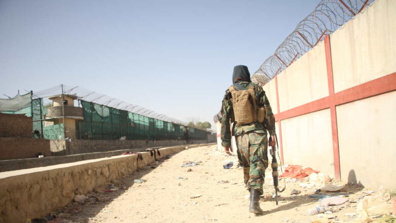 СМИ: талибы взяли под контроль некоторые зоны аэропорта Кабула