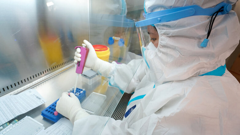 Иммунолог Крючков оценил вероятность появления оспы обезьян в России