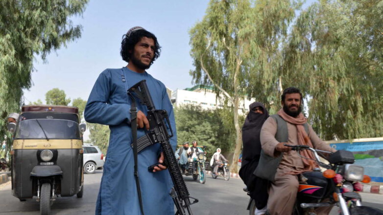 Талибы побороли коррупцию, заявил российский посол