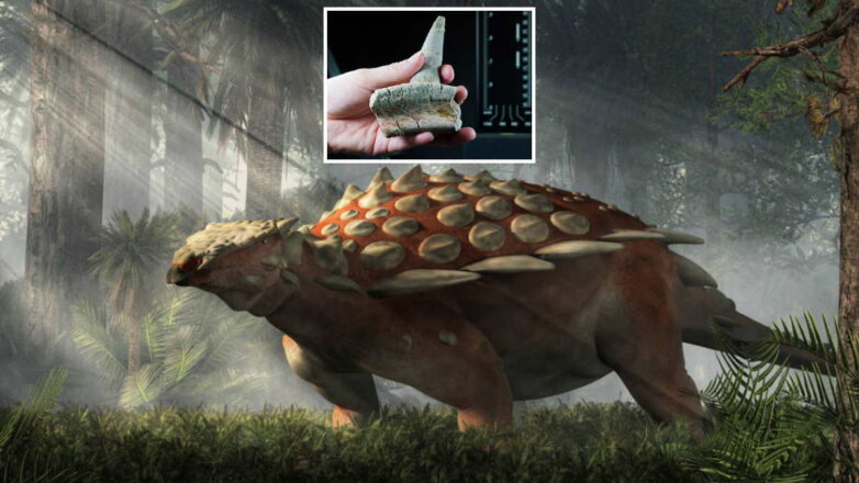 Обнаружены останки нового вида динозавра, "не похожего ни на одно существо в мире"