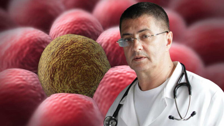 Мясников перечислил продукты, провоцирующие рак