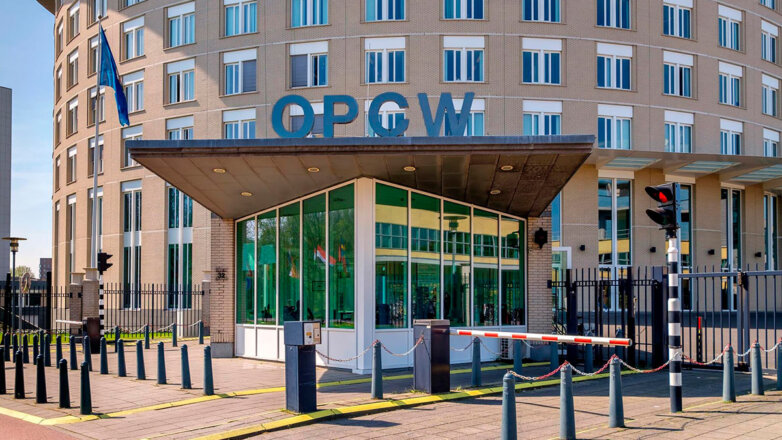 ОЗХО скрывает формулу яда из дела Навального, считает постпред