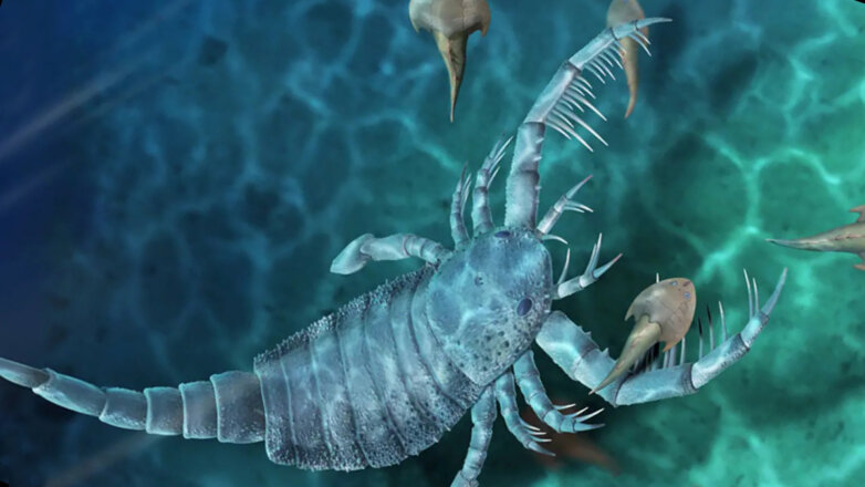 Ученые обнаружили останки древнего скорпиона размером с собаку