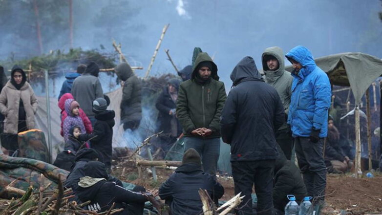 В Совфеде назвали "политическим цинизмом" обвинения России в кризисе с беженцами