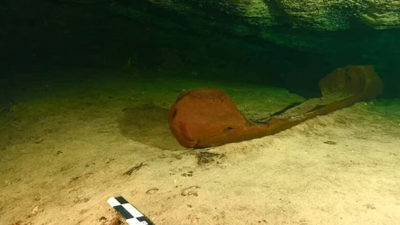 Редкое каноэ индейцев майя обнаружили археологи на юге Мексики