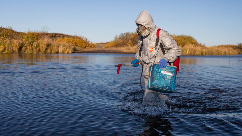 Российское экологическое общество призывает признать Greenpeace и WWF иноагентами
