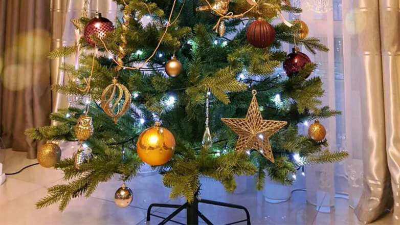 Опрос показал, в какое время россияне убирают новогоднюю елку