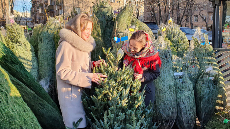 В Подмосковье произошло массовое открытие елочных базаров