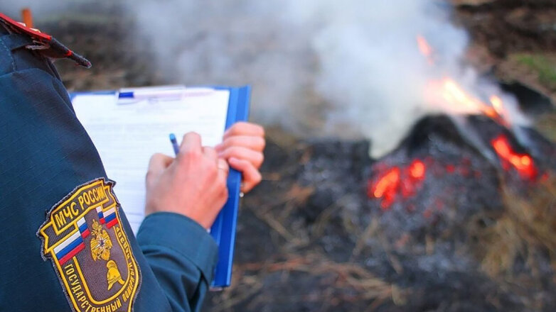 В парках Москвы усилили контроль пожарной безопасности