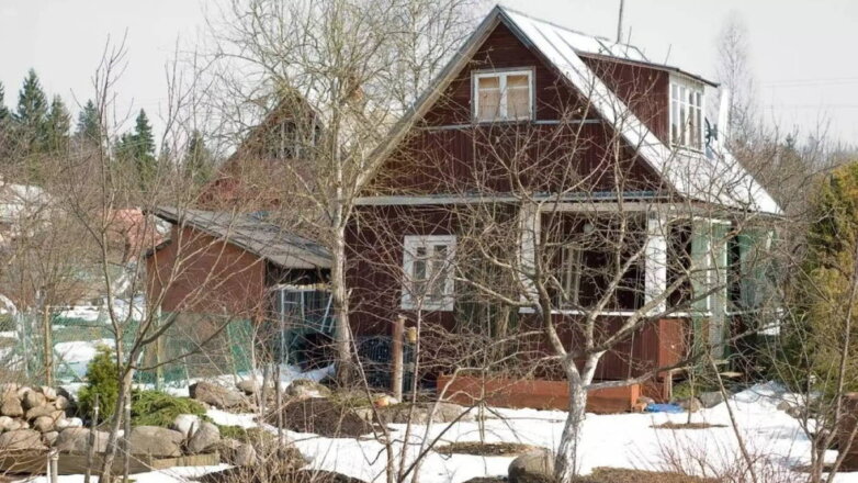 Депутат Никита Чаплин предложил дачникам способы сэкономить