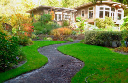 Что использовать вместо тротуарной плитки на участке: плюсы и минусы разных покрытий