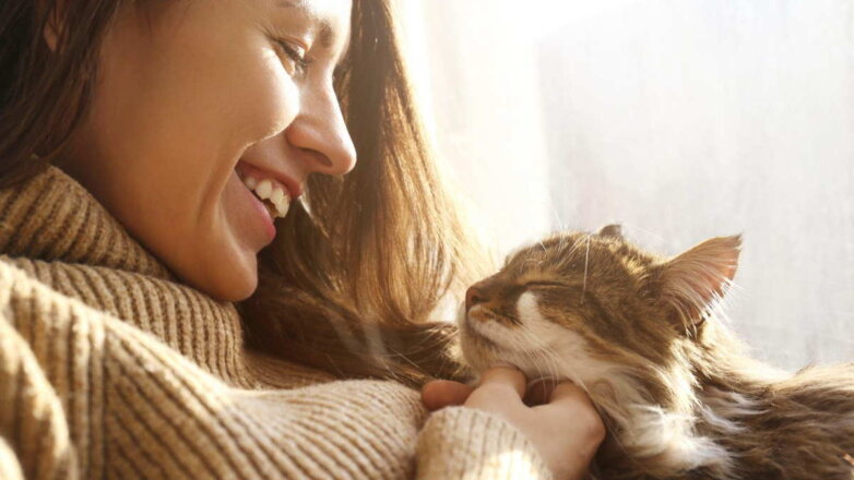 Самый приятный звук: 6 причин, из-за которых кошки мурлычат