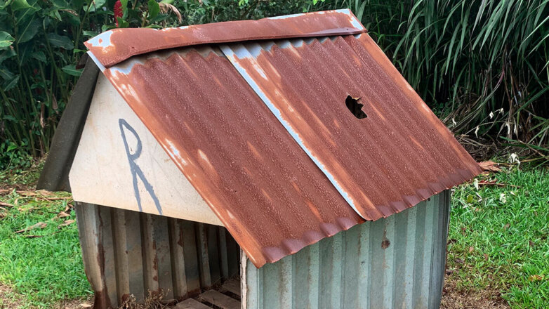 Собачью будку с дырой от метеорита выставили на аукцион