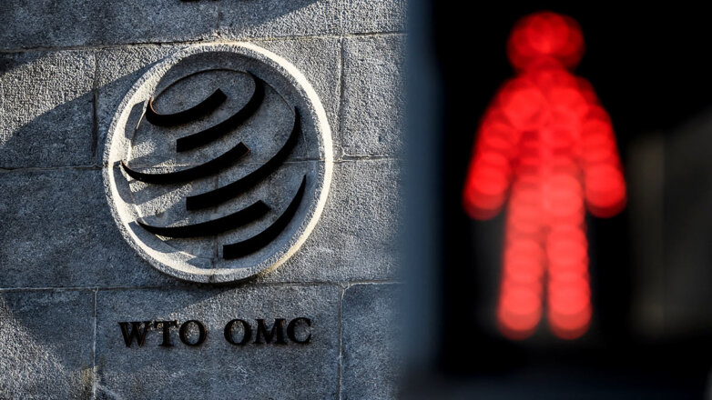 Выстрел в обе ноги: чем обернется для России выход из ВТО