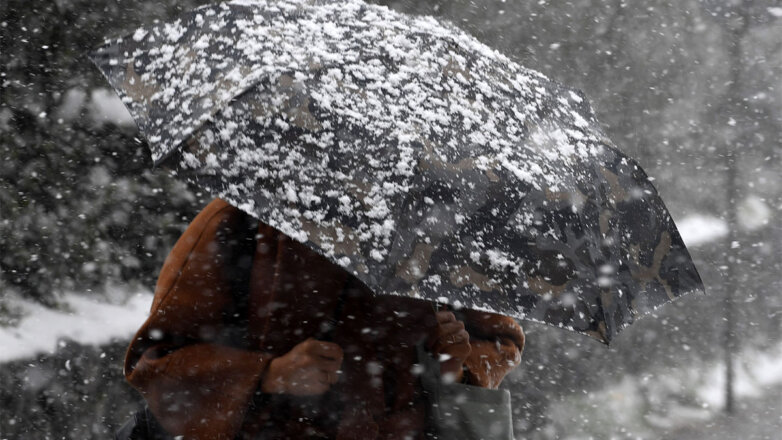 Вильфанд допустил появление первого мокрого снега в Москве 21 октября