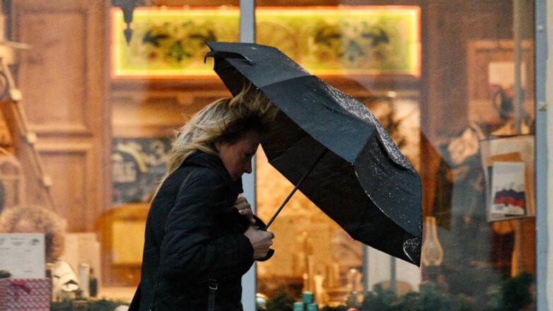 Москвичей предупредили о грозе с сильным дождем до конца суток