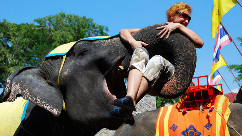 Курс на Восток: летний сезон-2022 может стать для россиян непохожим на предыдущие