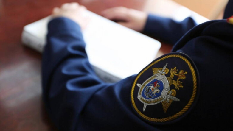 Глава СКР поручил повторно возбудить дело после избиения ребенка мужчиной из-за царапины на машине