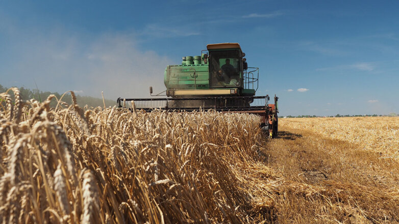  Отрезанный ломоть: прорвет ли российское зерно санкционную блокаду