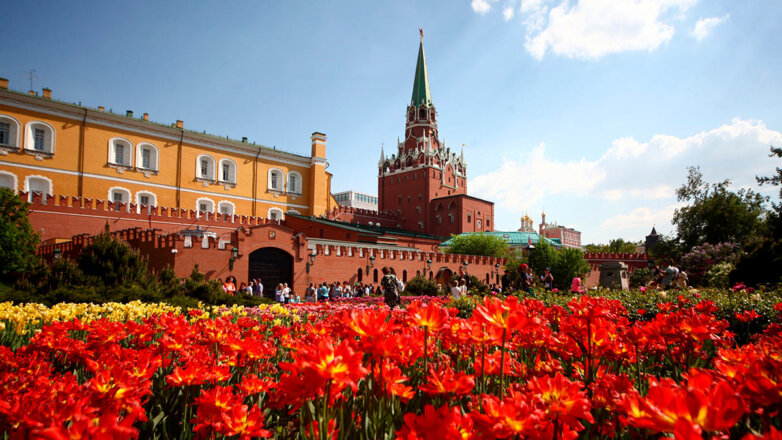 В Москве посадили несколько десятков миллионов однолетних цветов