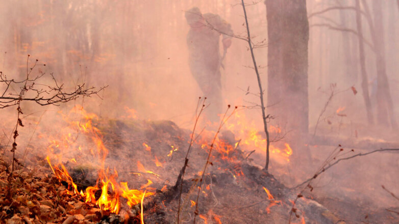Губернатор Красноярского края назвал причину крупных пожаров в регионе