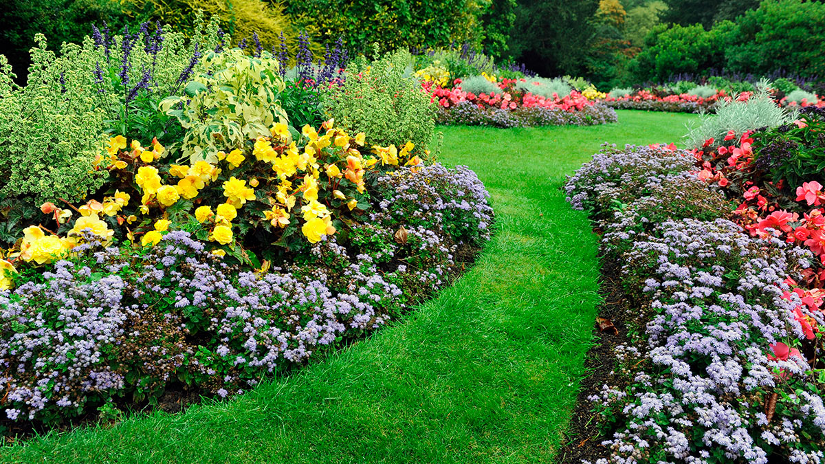 Тропинки в саду