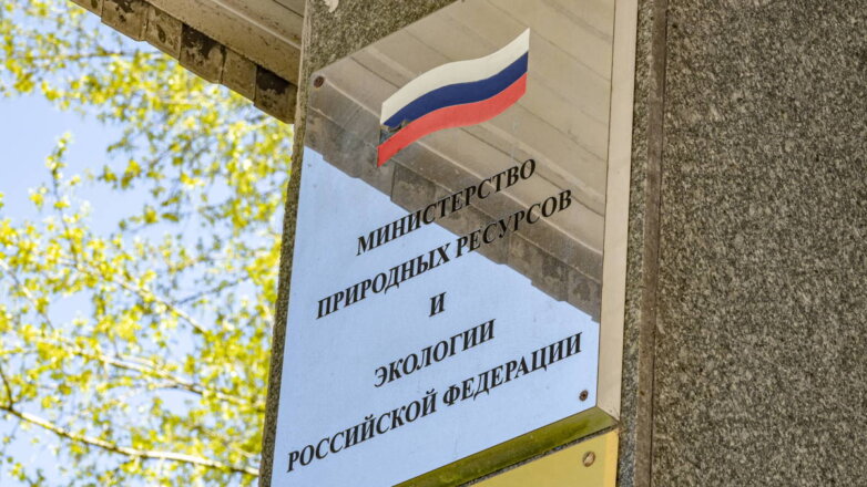 В России разработают проект Экологического кодекса